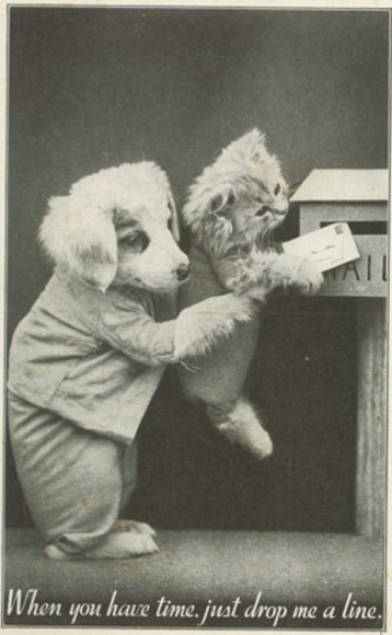 amazing-vintage-cats-pictures-15