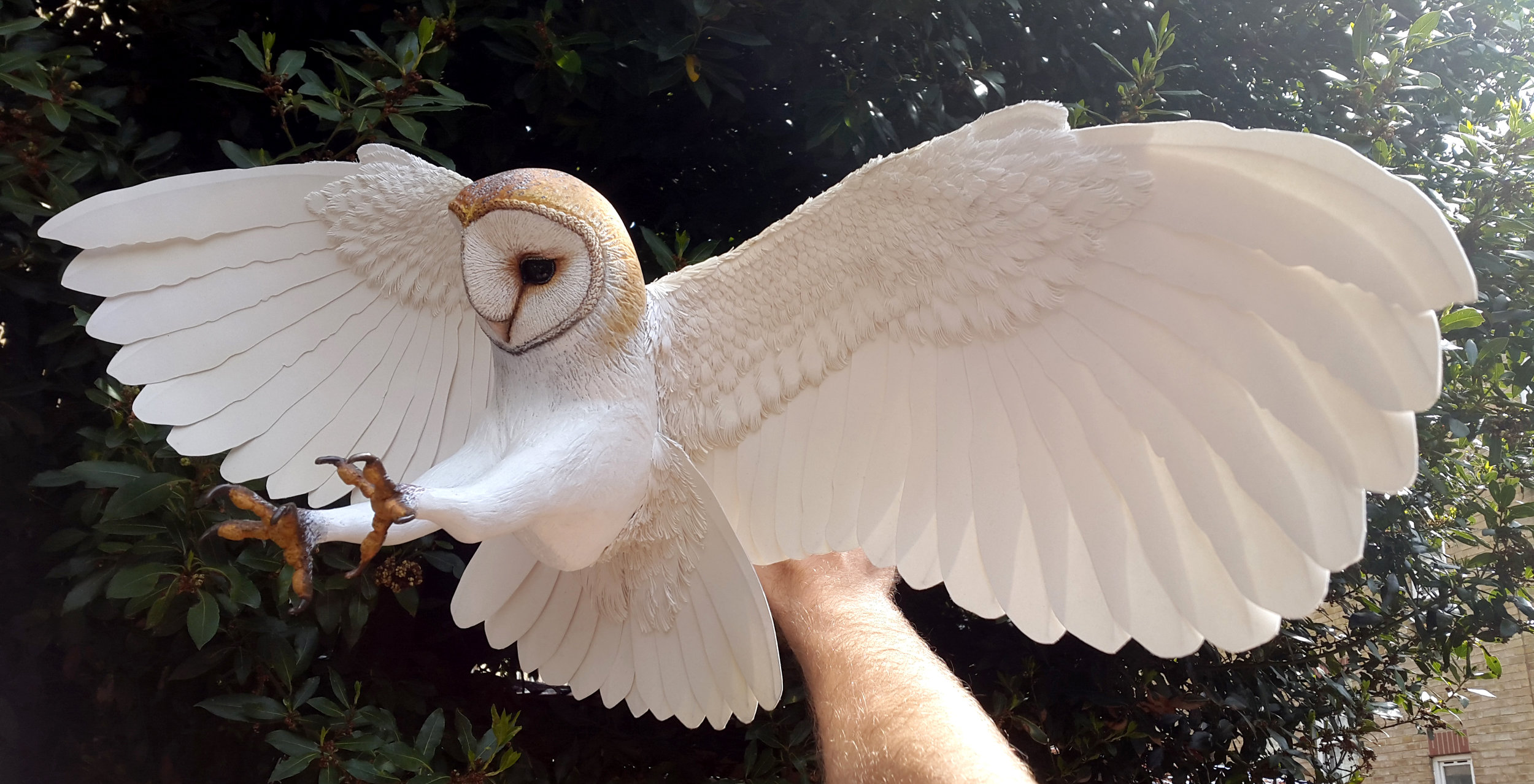 Barn+owl+carved